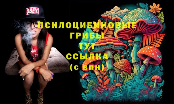 кристаллы Горно-Алтайск
