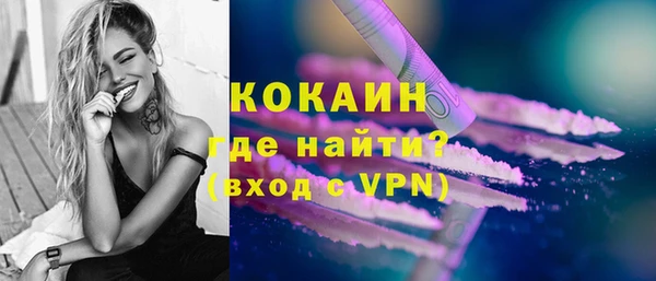индика Горняк