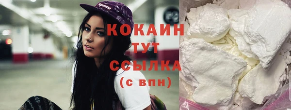 индика Горняк
