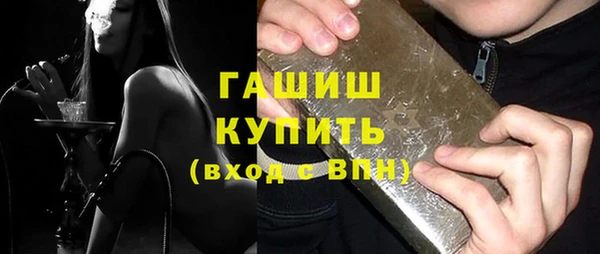 индика Горняк
