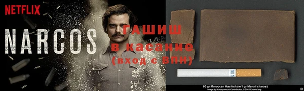 индика Горняк