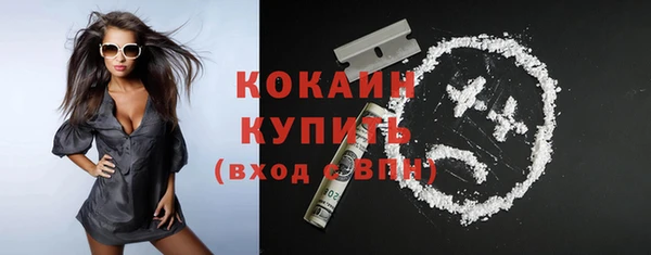 индика Горняк
