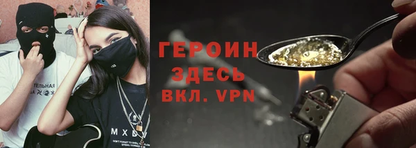 индика Горняк