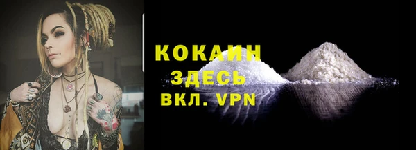 индика Горняк