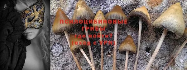 индика Горняк