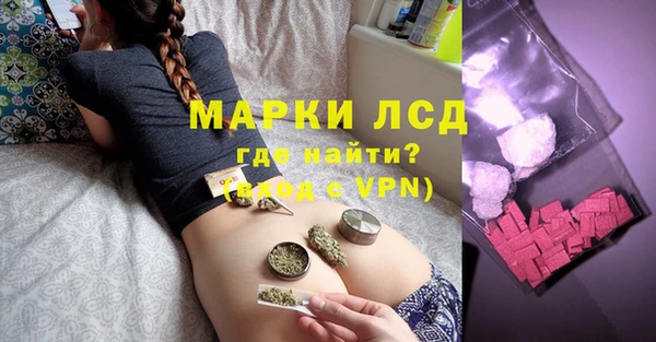индика Горняк
