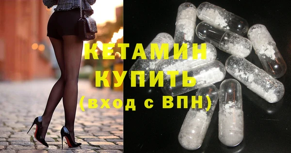 индика Горняк
