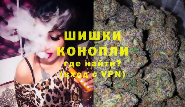 индика Горняк