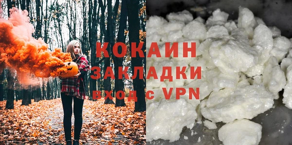 индика Горняк