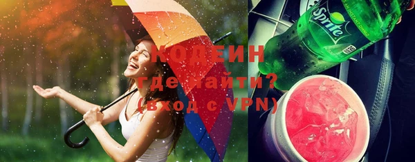 индика Горняк