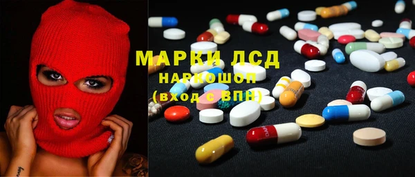 индика Горняк