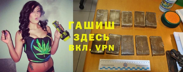 индика Горняк